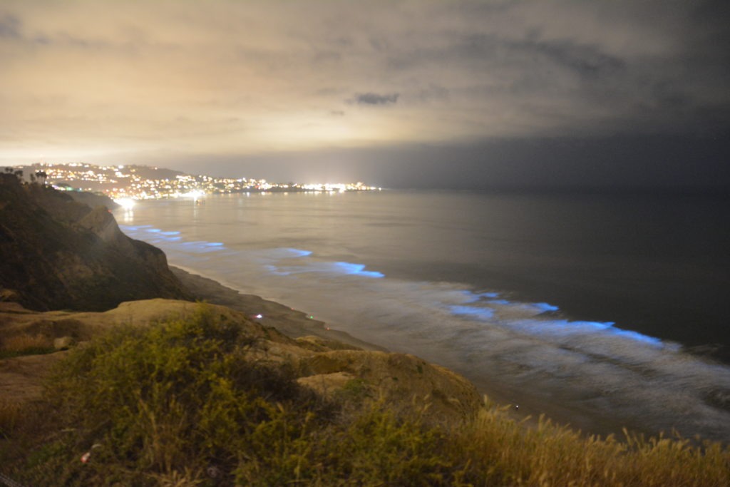 How to See Ocean Bioluminescence in San Diego ReVision Optometry