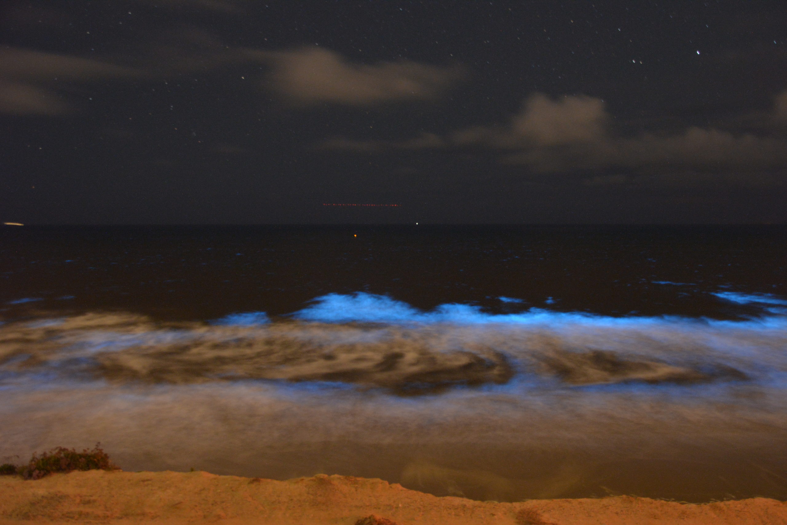 How to See Ocean Bioluminescence in San Diego - ReVision Optometry